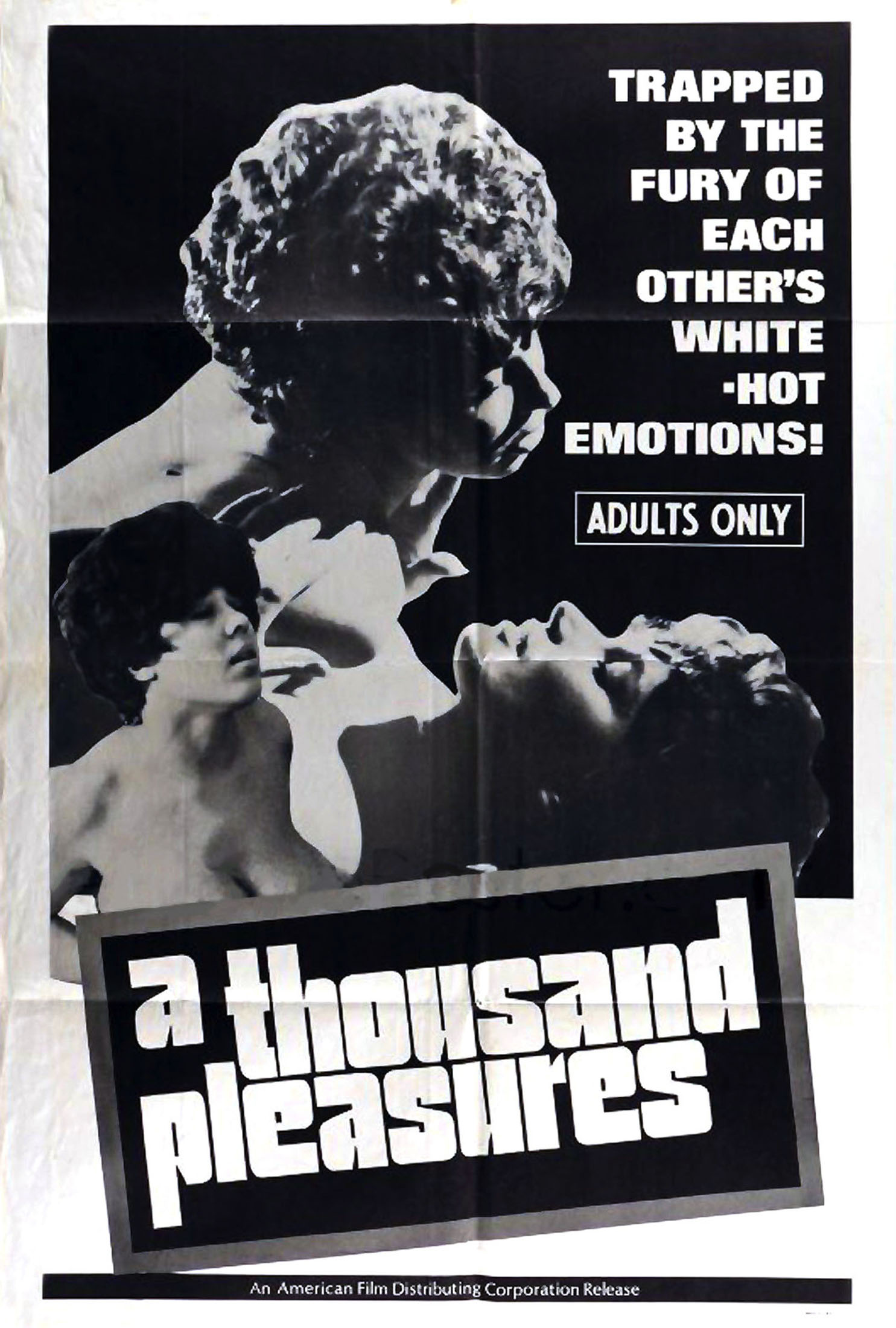 A Thousand Pleasures poster