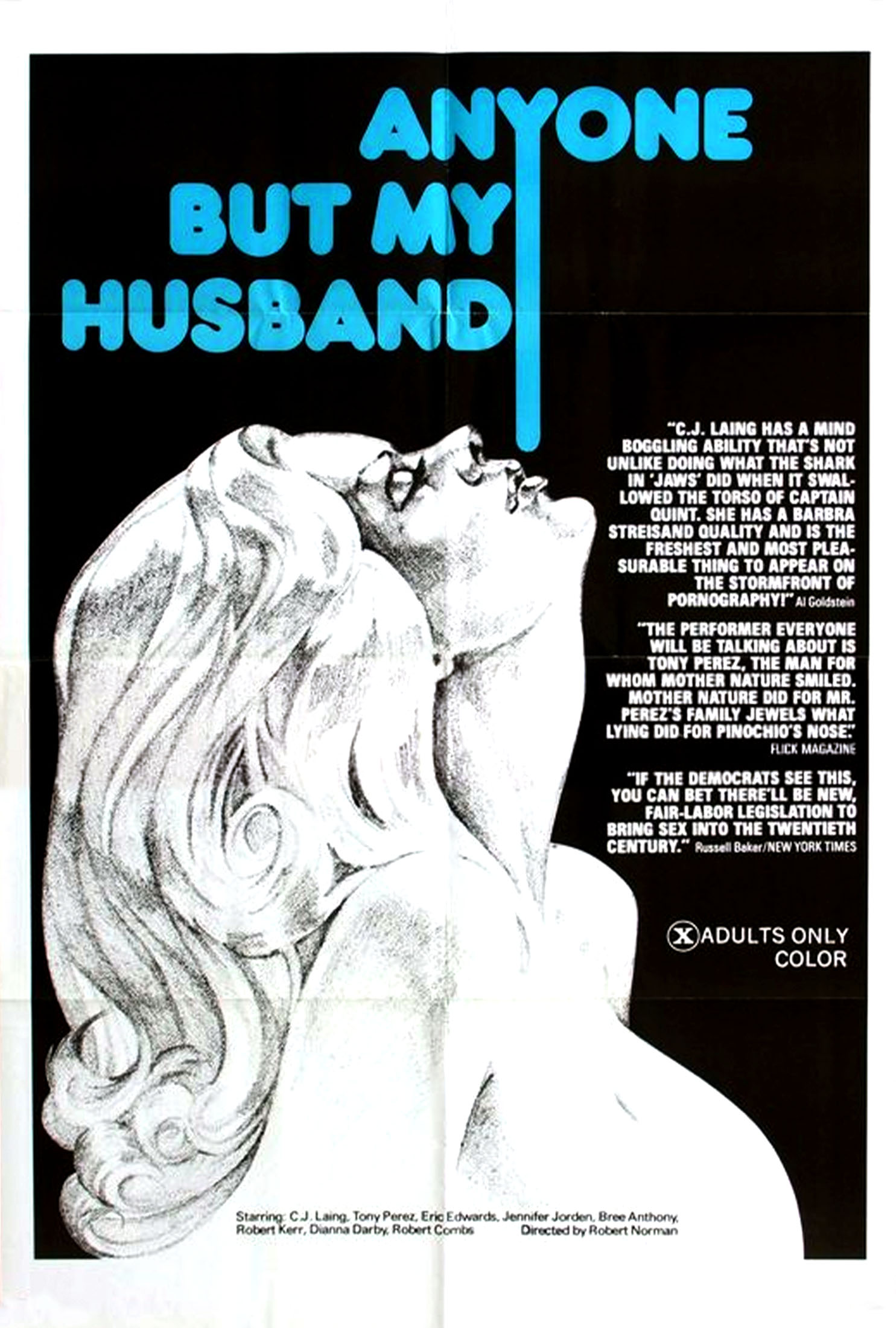 Anyone But My Husband poster