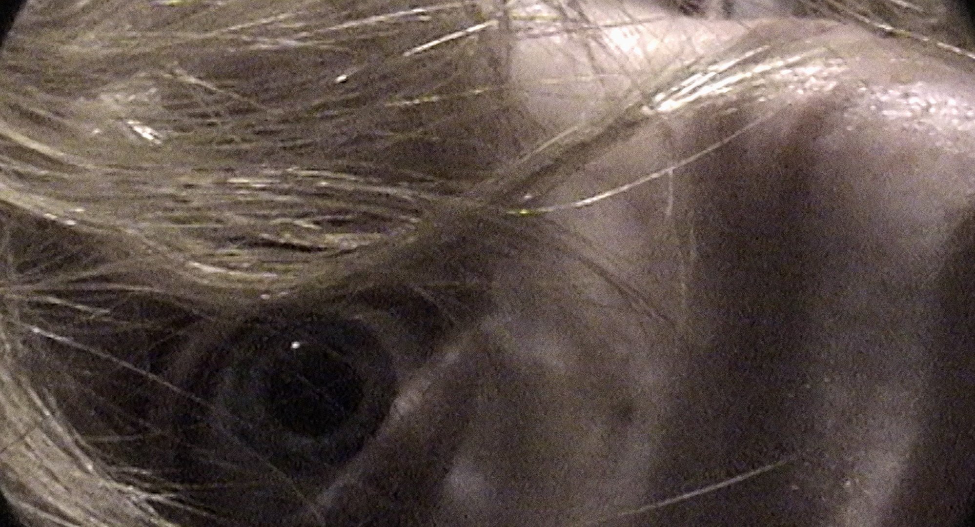 Castration Movie Anthology ii. The Best of Both Worlds still 3