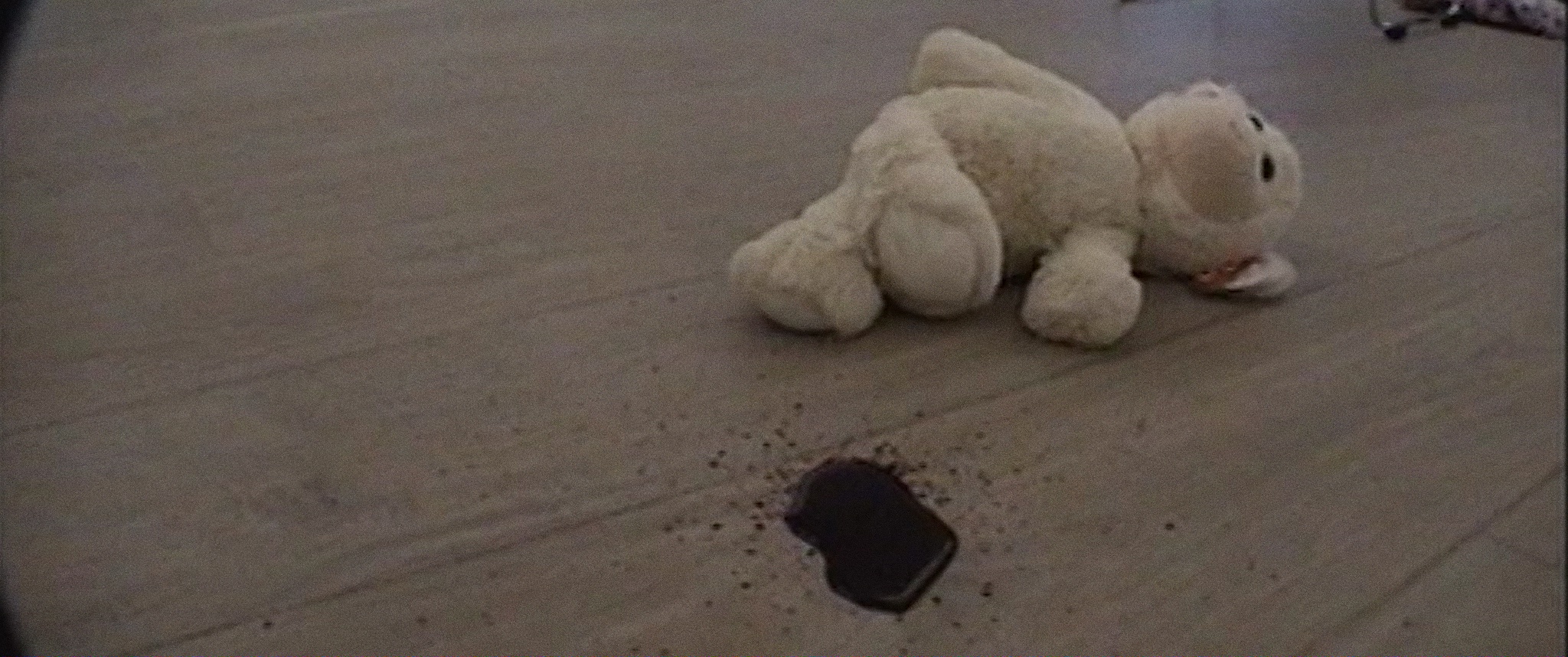 Castration Movie Anthology iii. Year of the Hyaena still 3