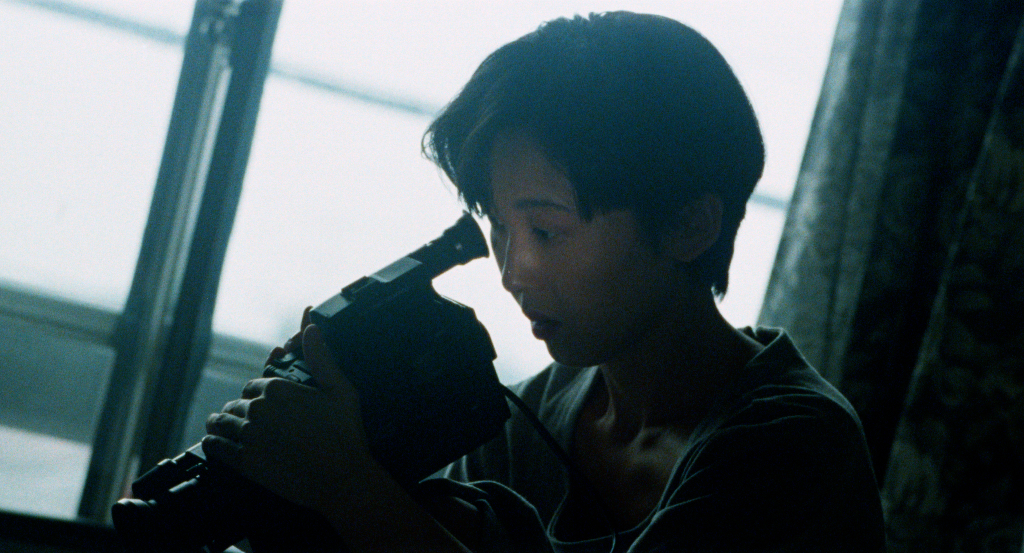 Celluloid Nightmares: The Films of Hisayasu Satô collection header