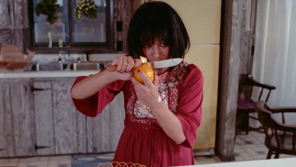 The Films of Roberta Findlay collection header