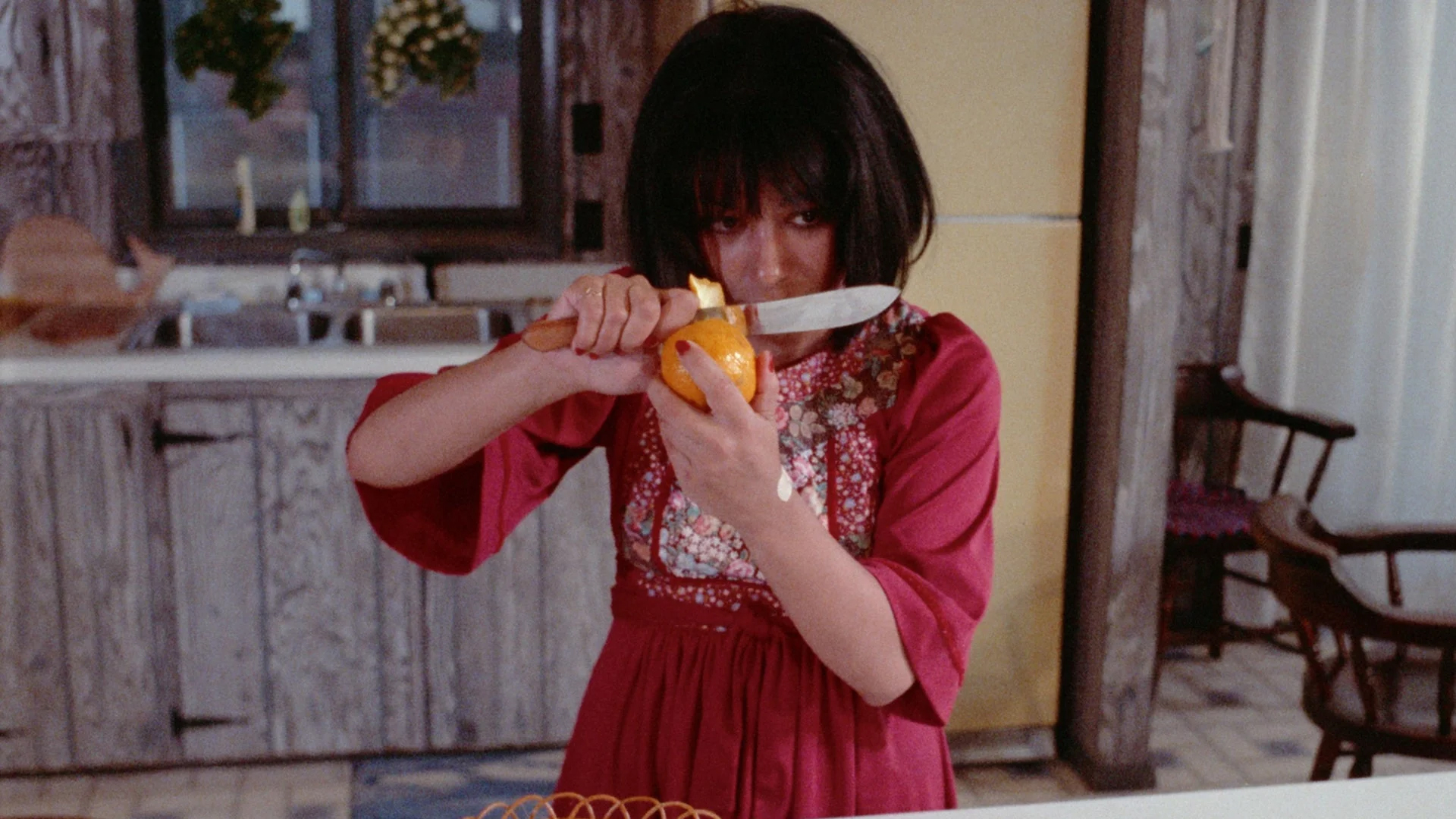 The Films of Roberta Findlay collection header