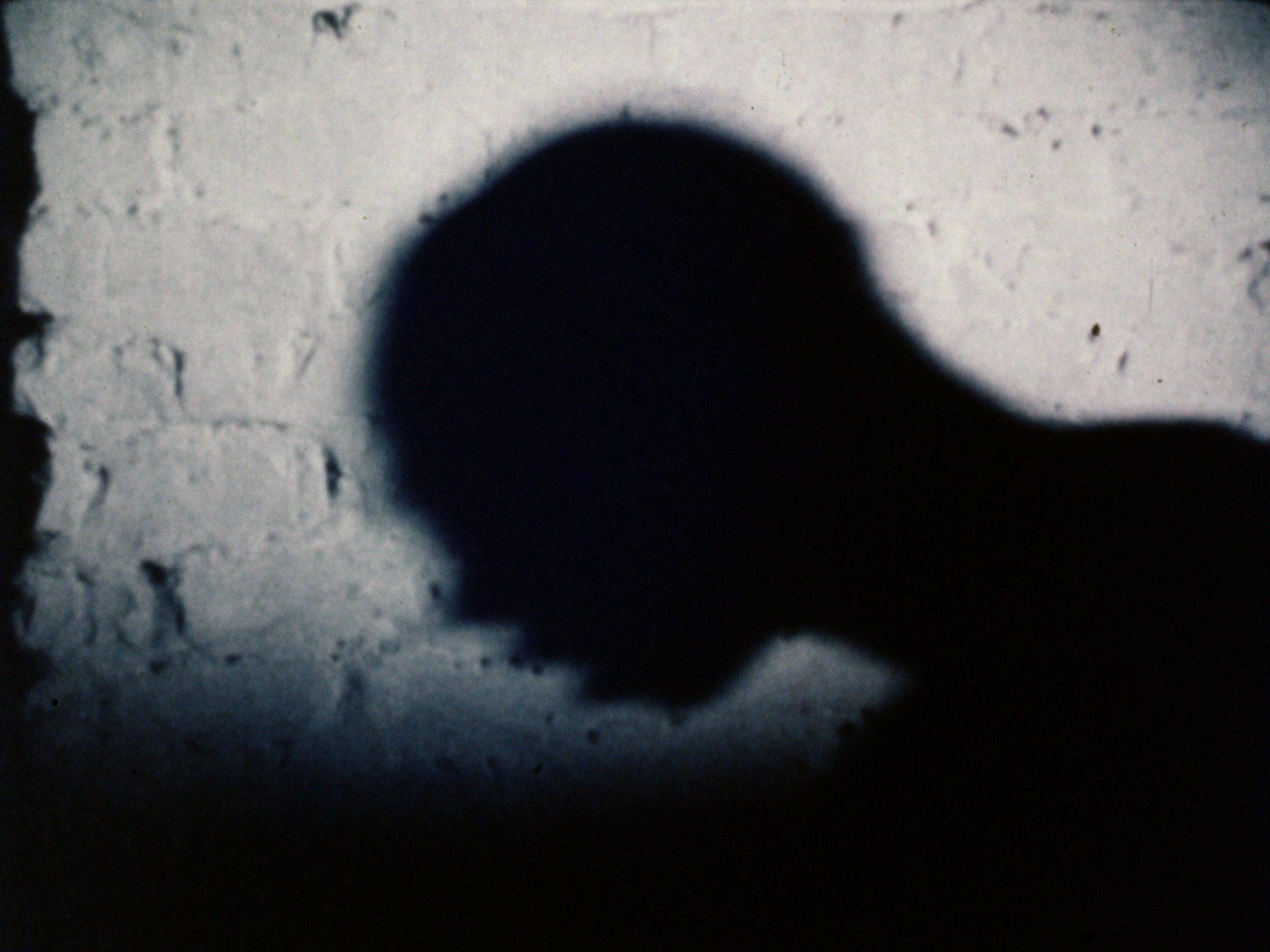 Coming Attractions still 5