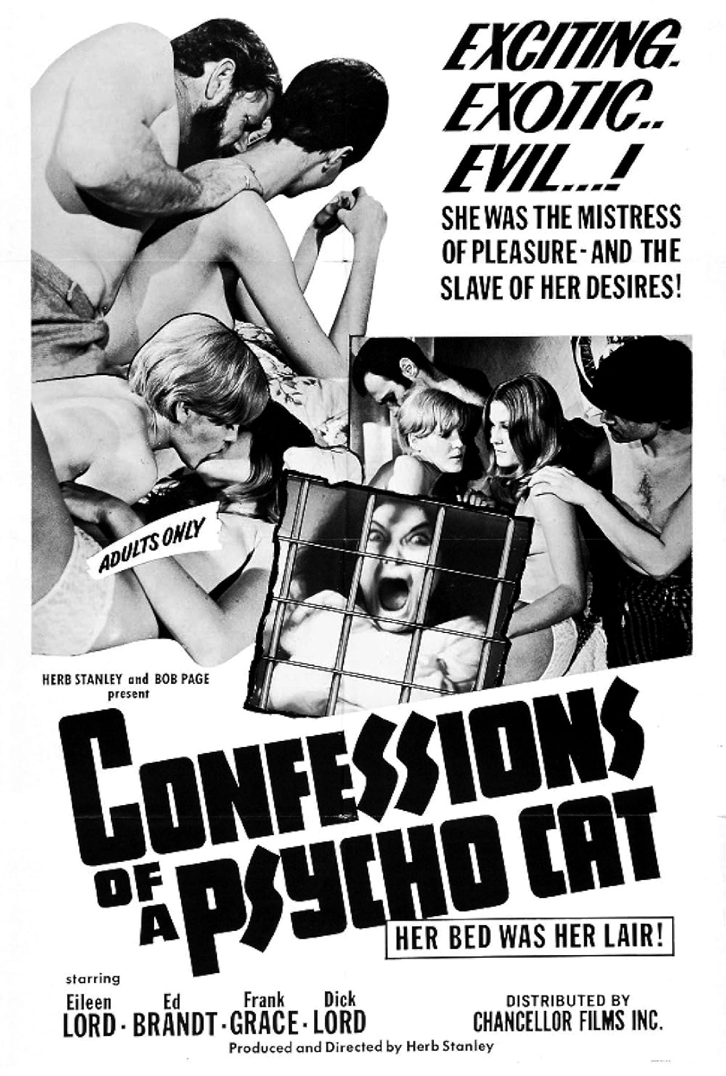 Confessions of a Psycho Cat poster