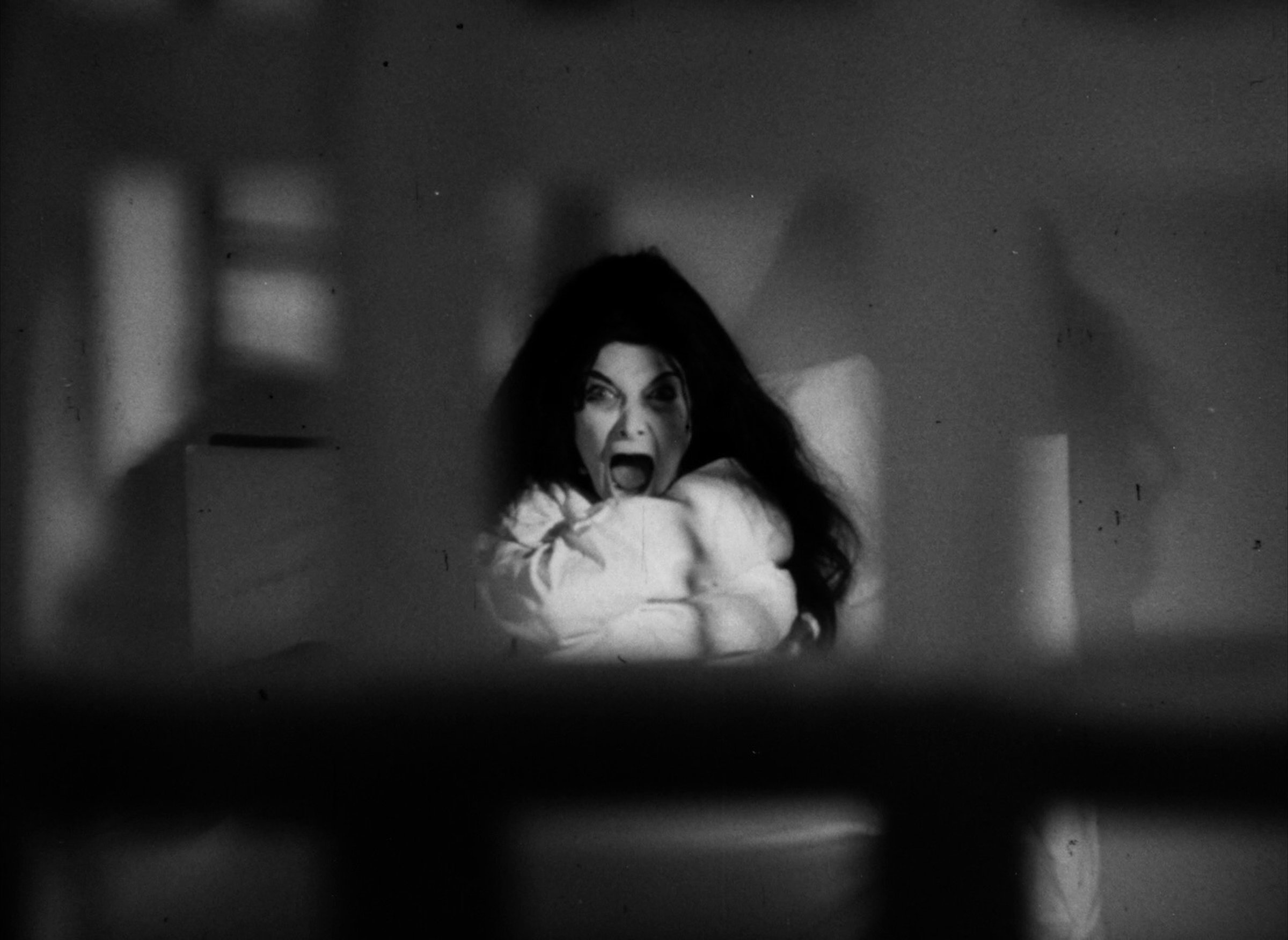 Confessions of a Psycho Cat