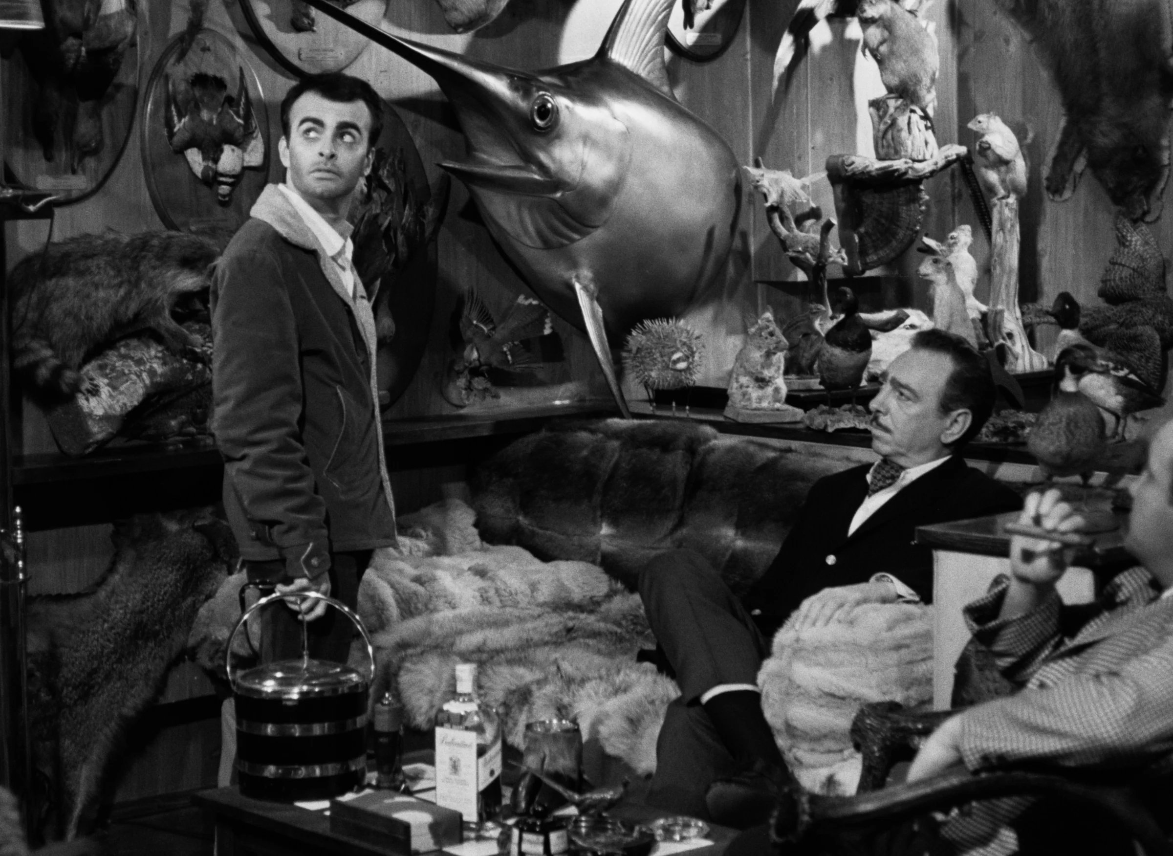 Confessions of a Psycho Cat still 2