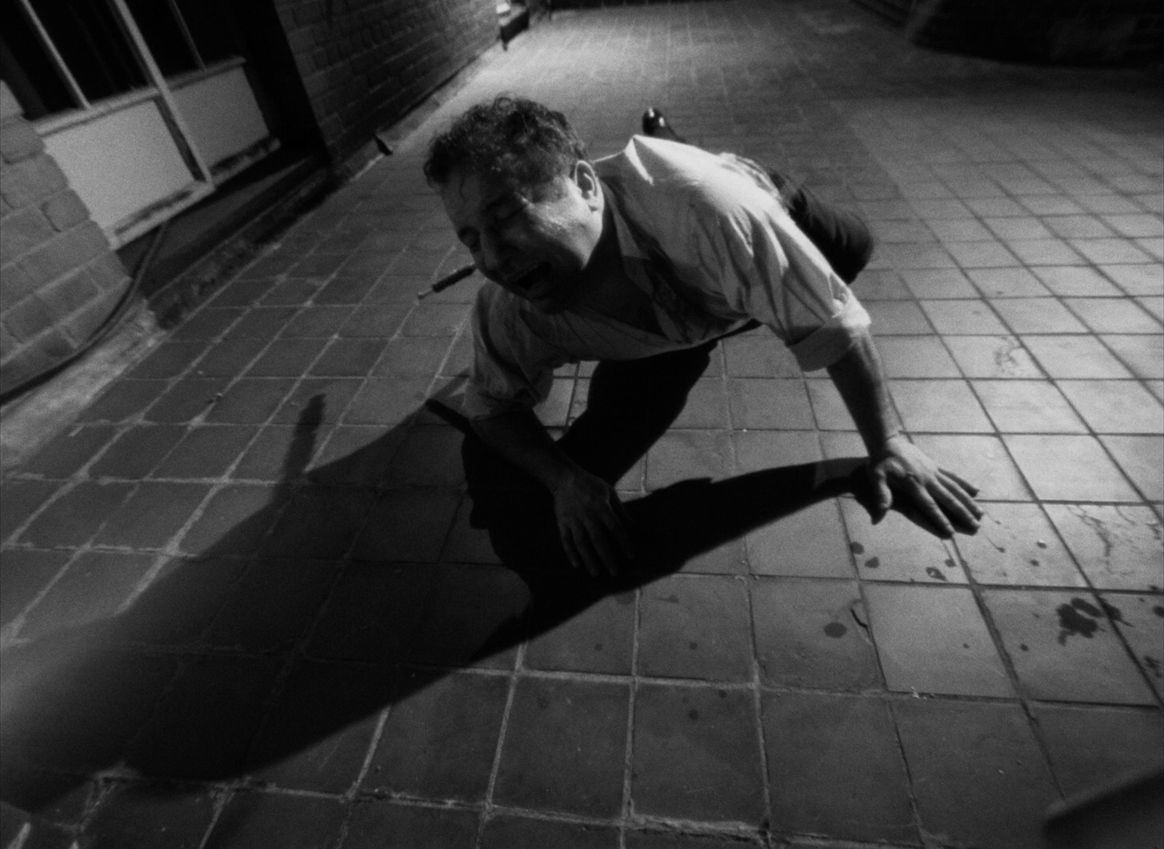 Confessions of a Psycho Cat still 6