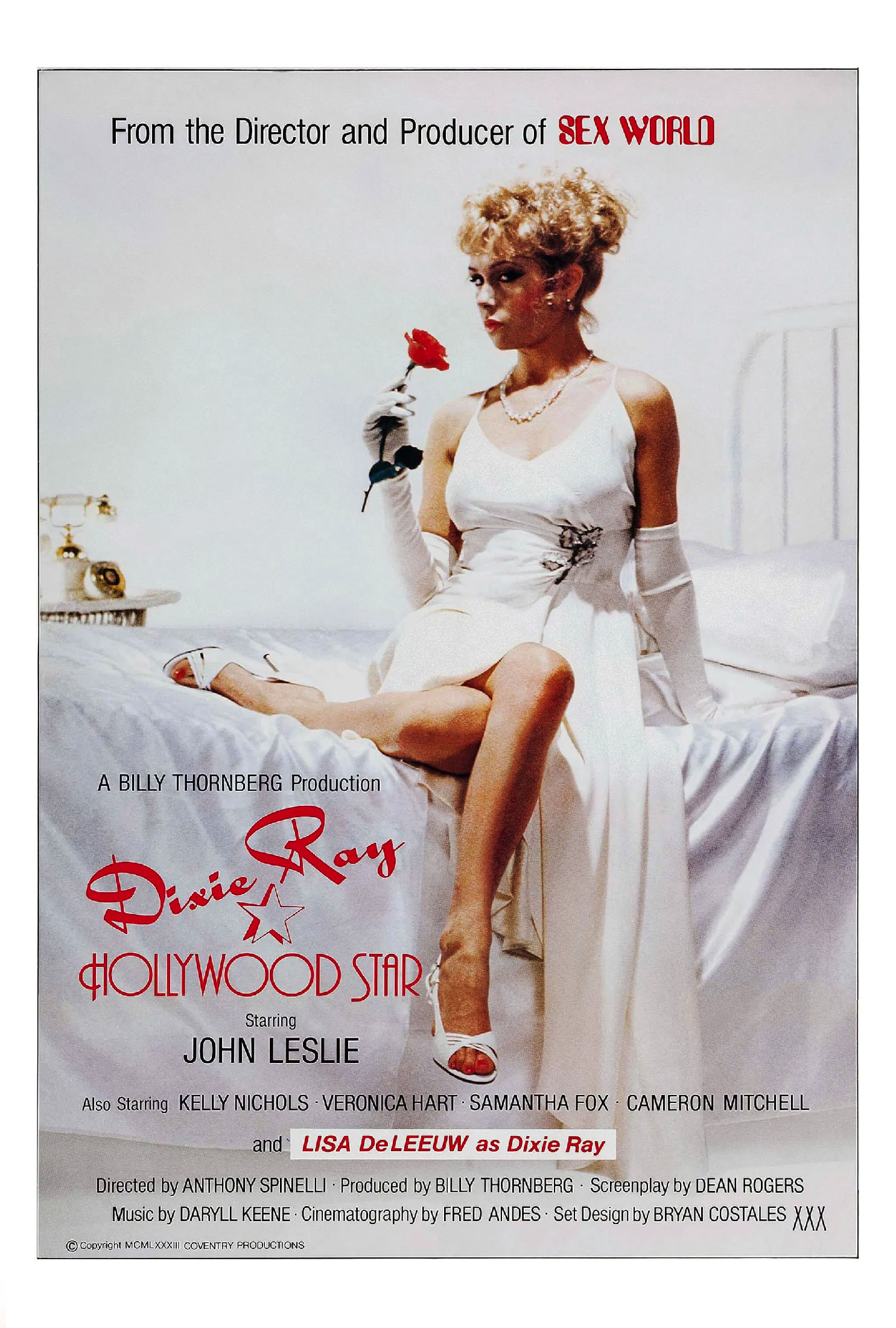 Dixie Ray: Hollywood Star poster