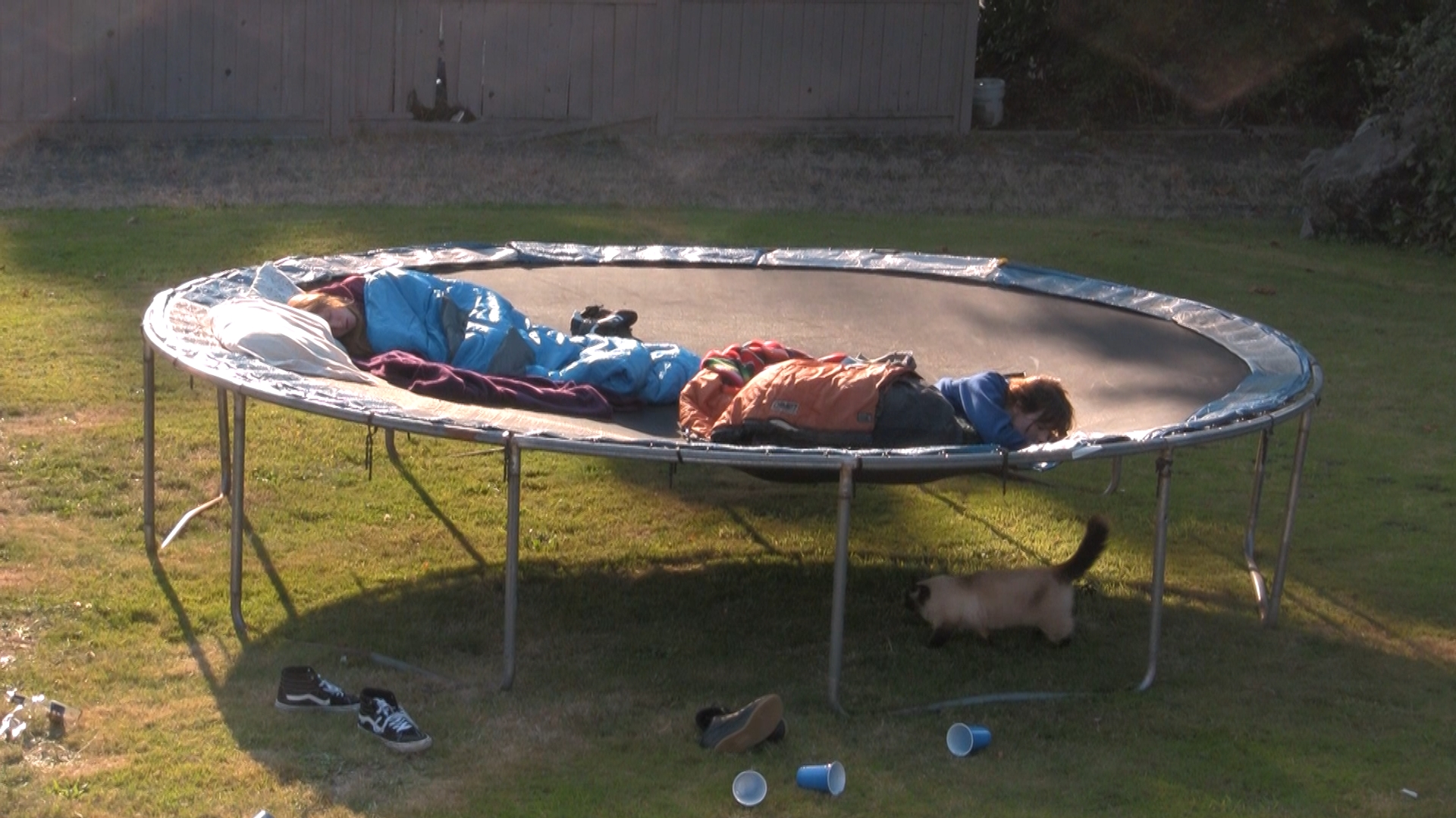 Drinking and Driving still 6