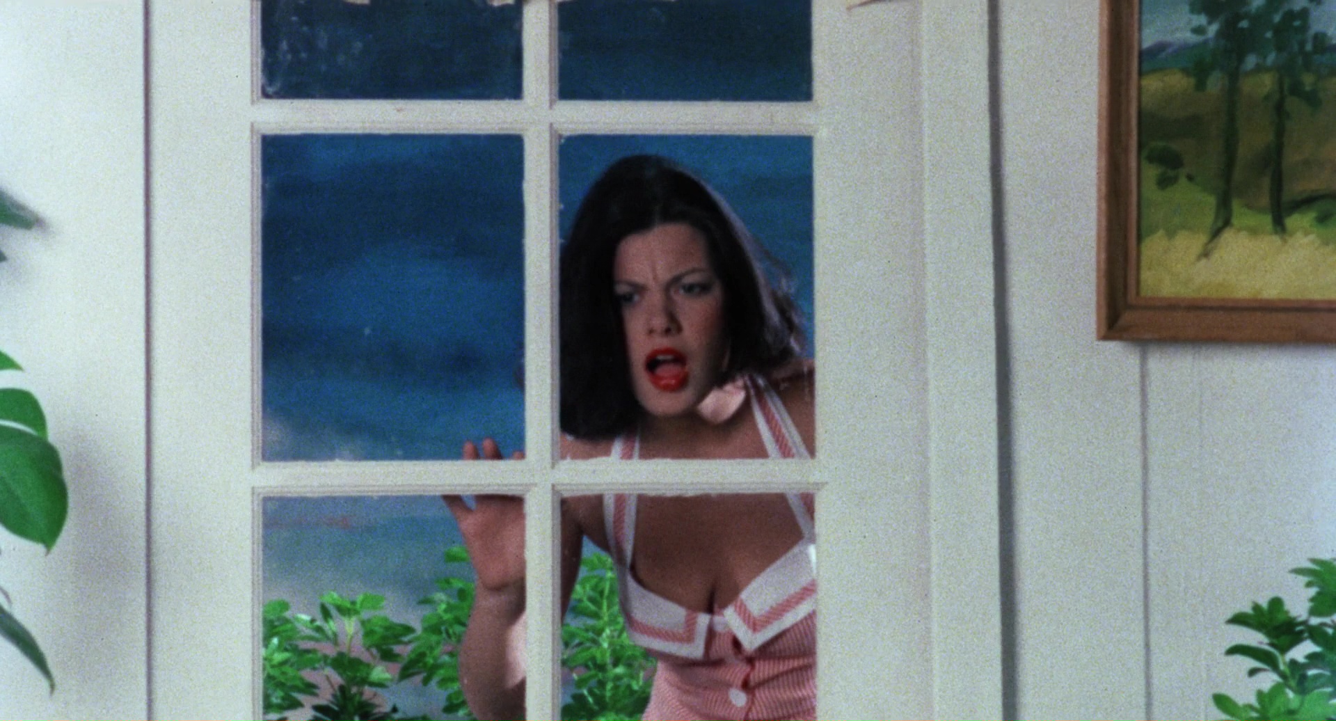 Hard Soap, Hard Soap