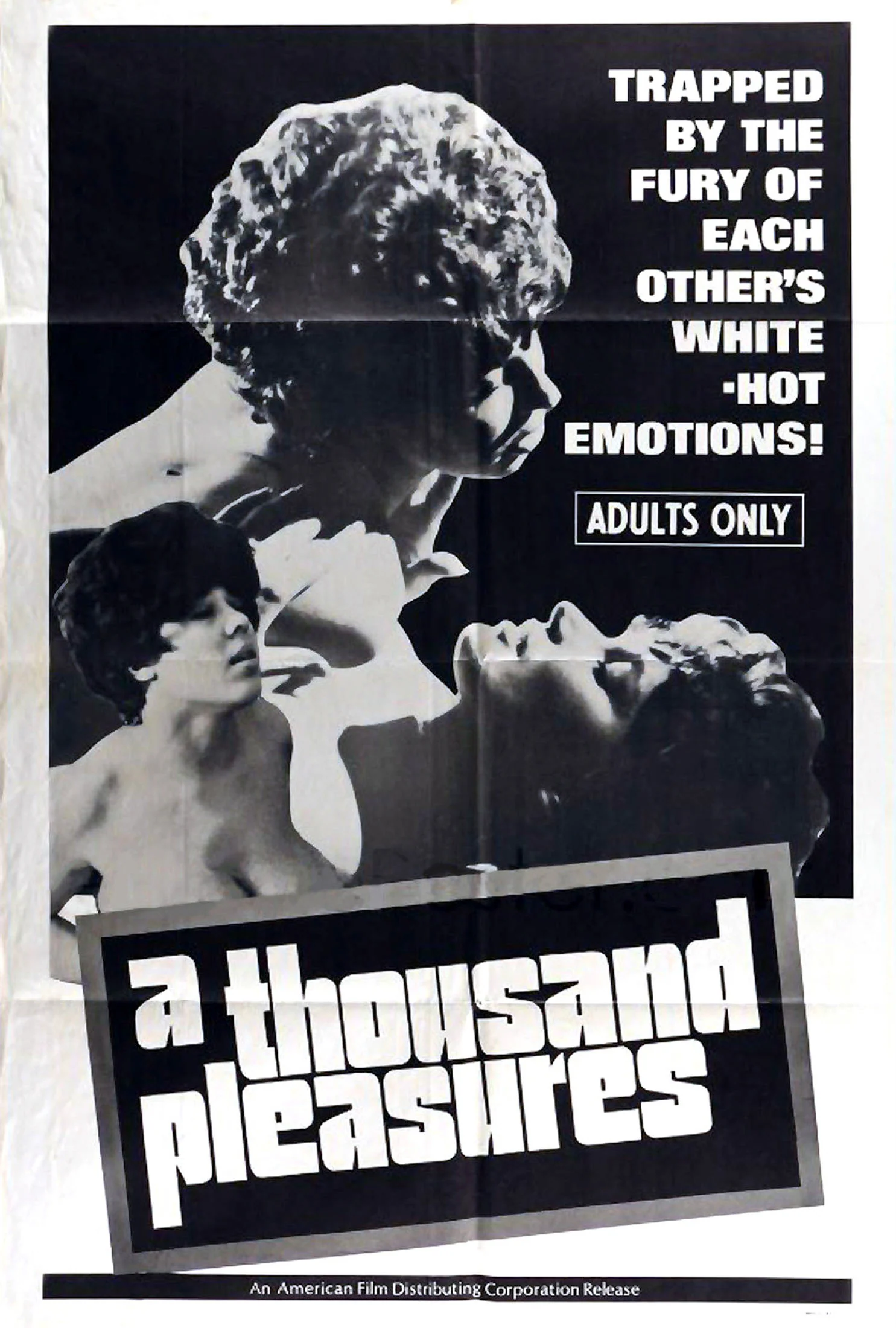 A Thousand Pleasures poster