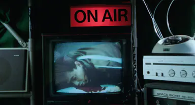 Brain Sex still 5