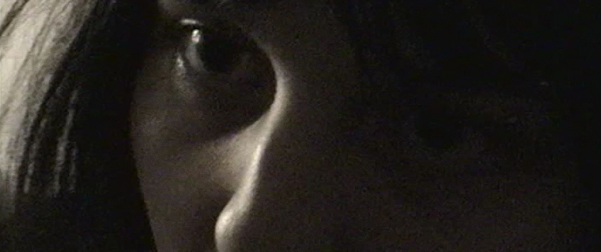 Castration Movie Chapter iii. Junior Ghosts—Premorphic Drift; a fragmentary passage