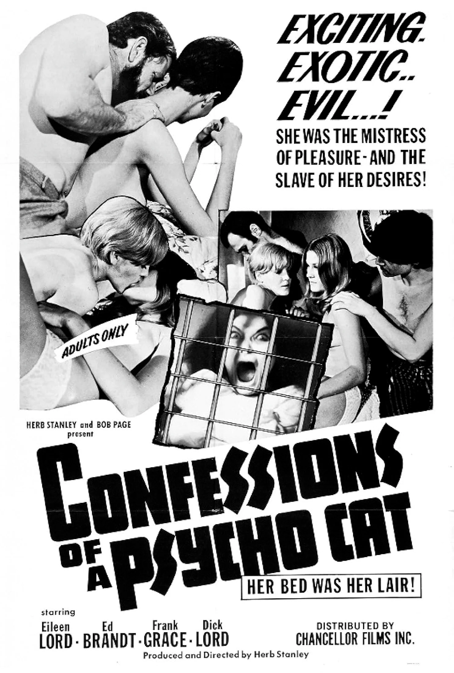 Confessions of a Psycho Cat poster