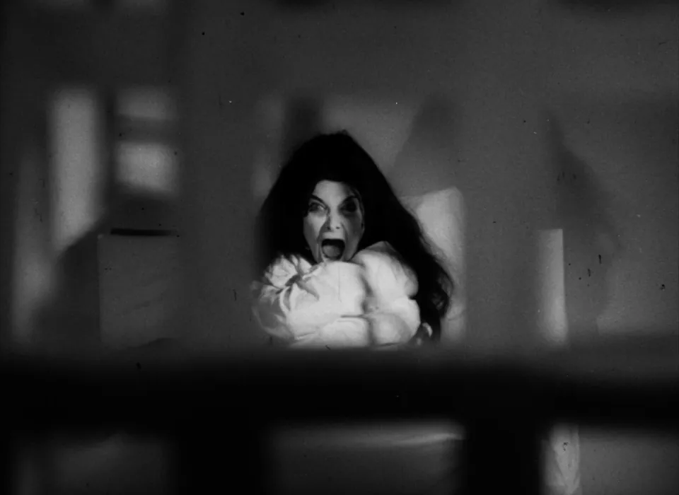 Confessions of a Psycho Cat