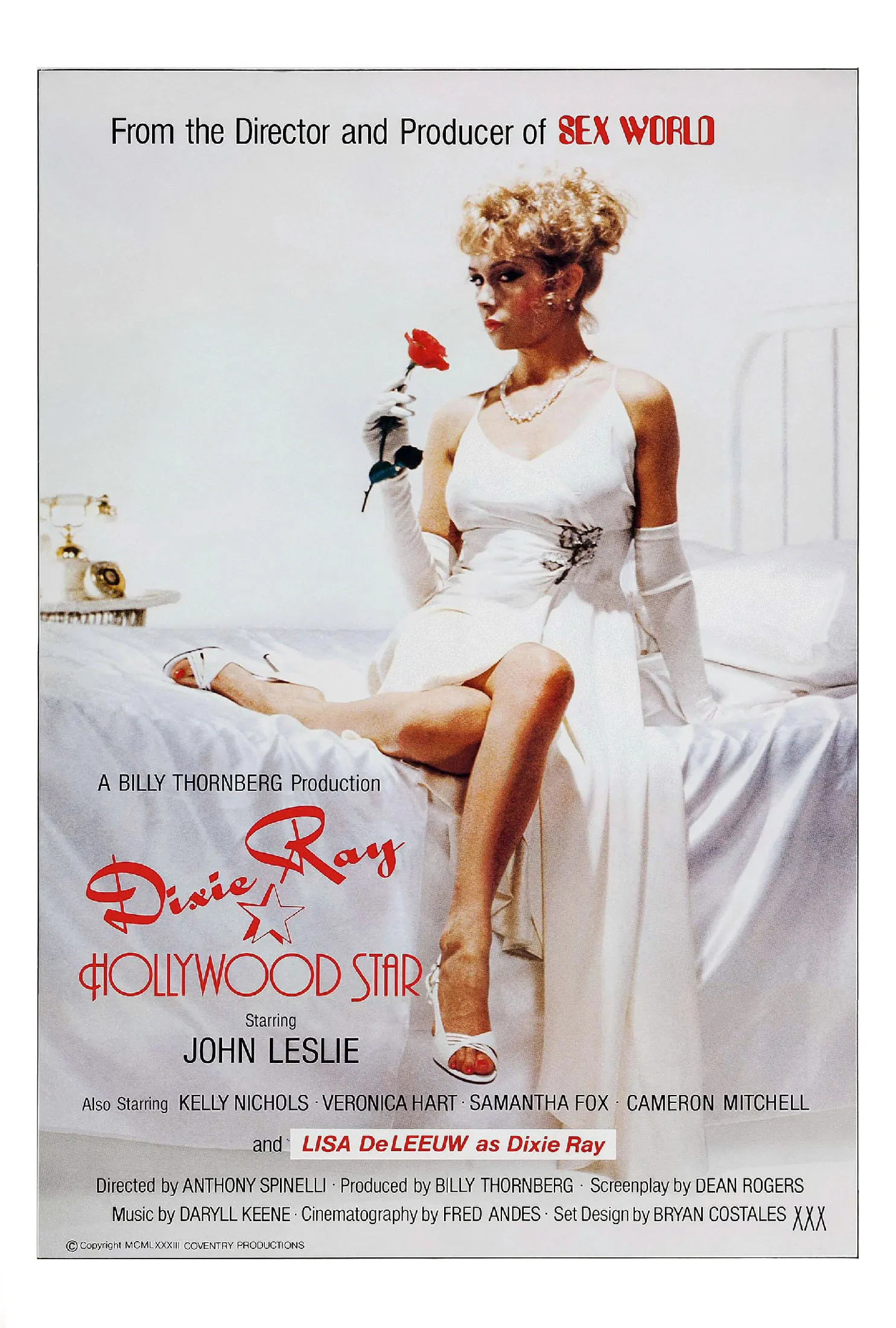 Dixie Ray: Hollywood Star poster