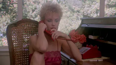 Sweet Young Foxes still 6