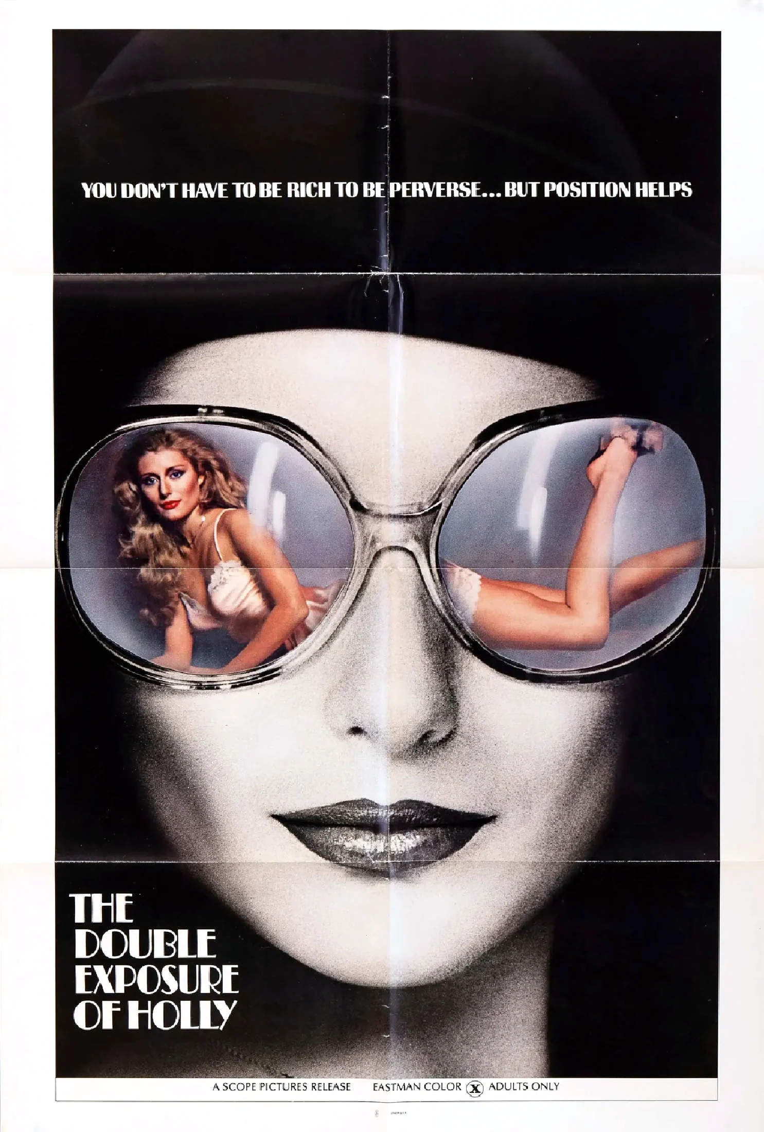 The Double Exposure of Holly poster