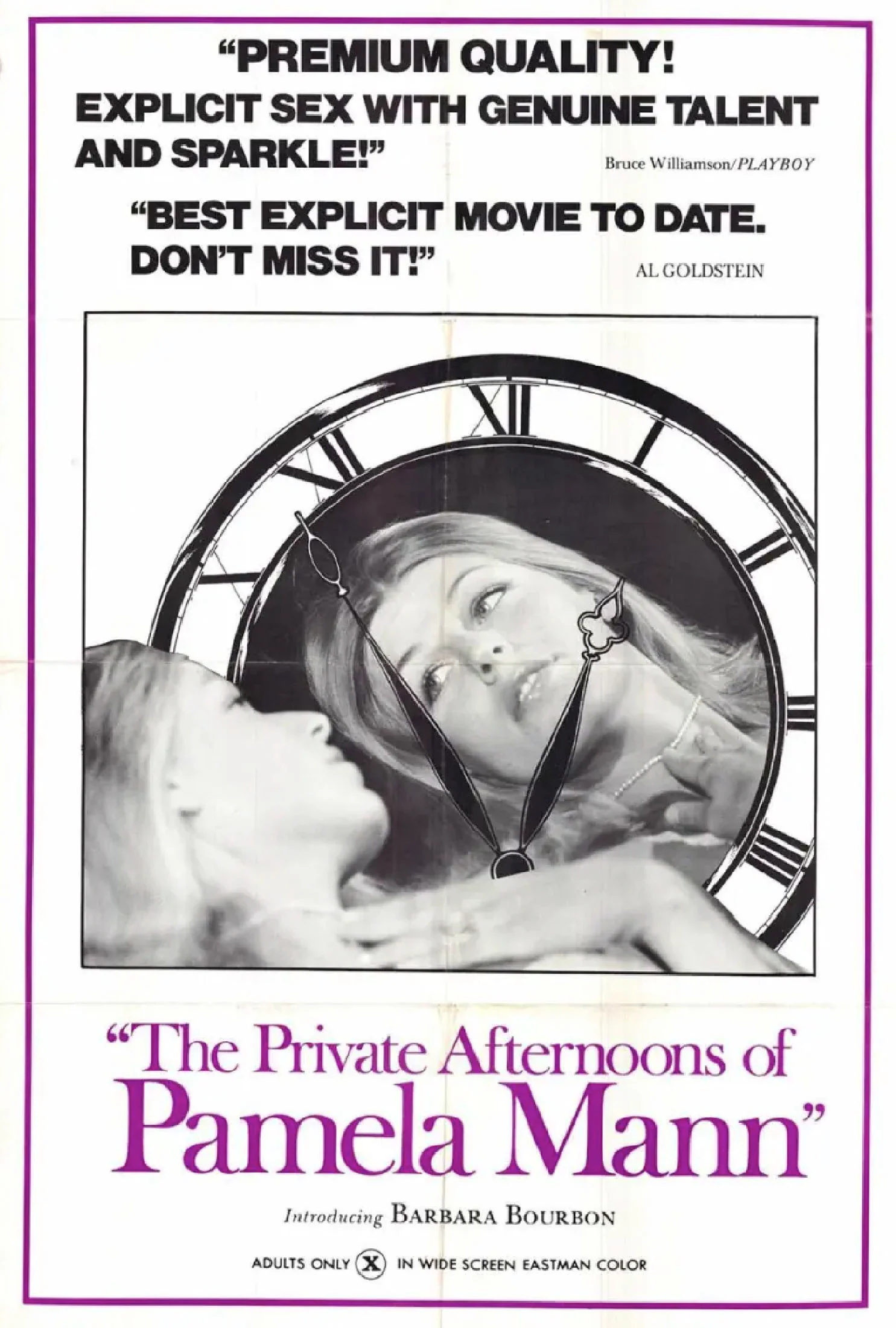 The Private Afternoons of Pamela Mann poster