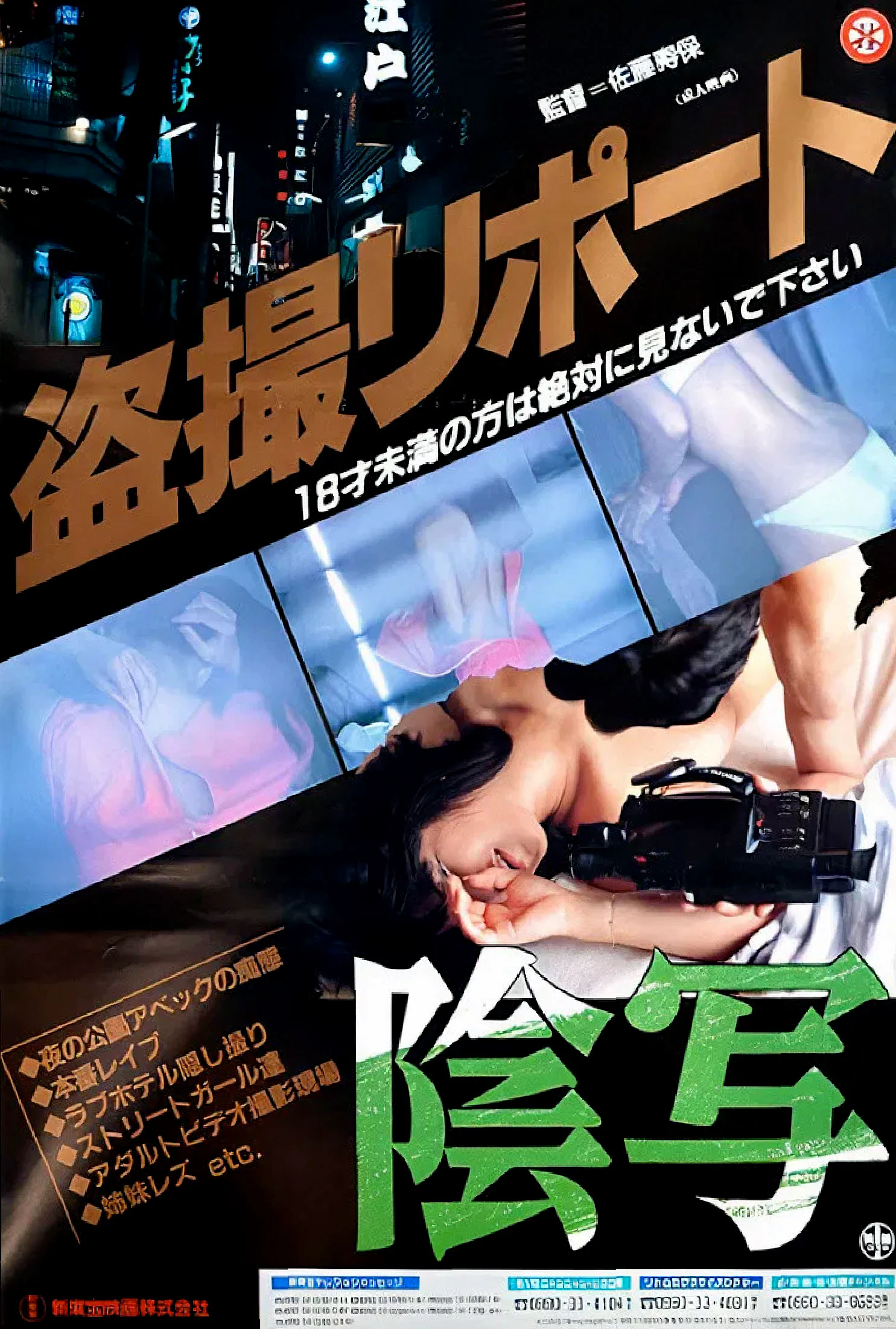 Turtle Vision poster