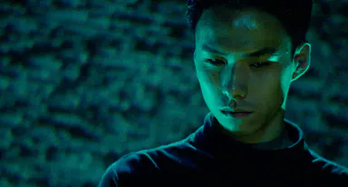 Turtle Vision still 2