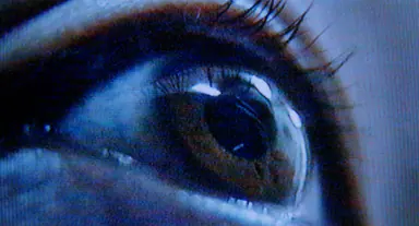 Turtle Vision still 5