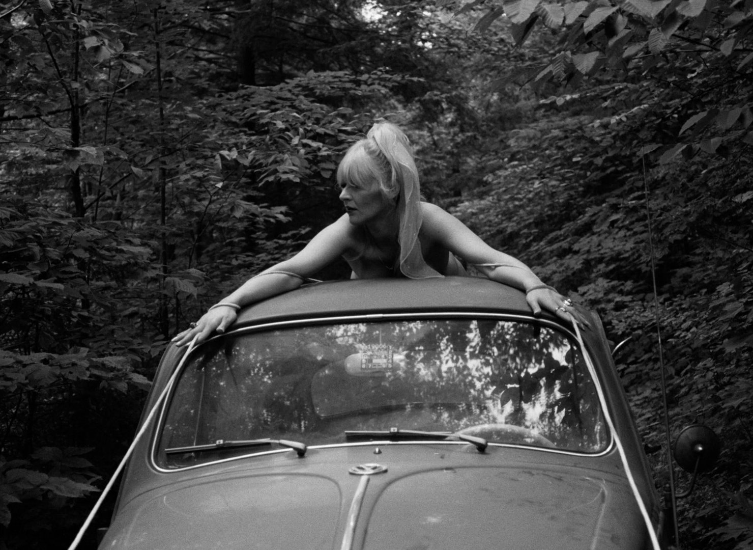 The Bizarre Ones still 3