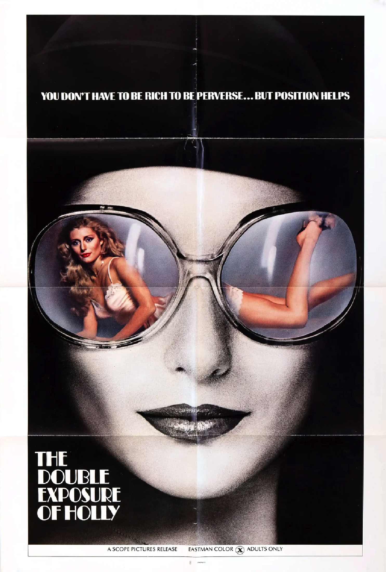 The Double Exposure of Holly poster