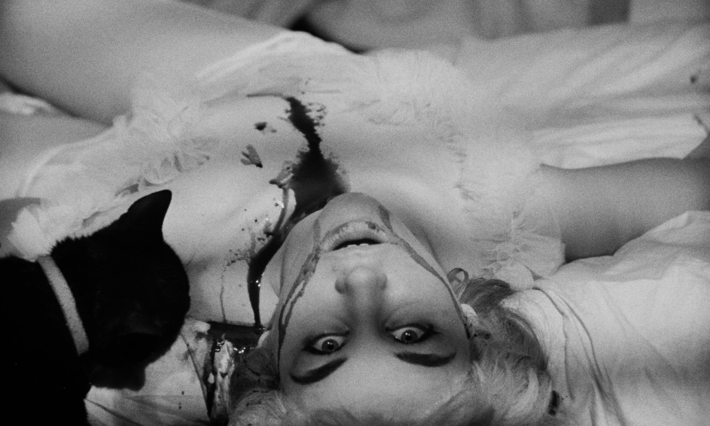 The Fat Black Pussycat