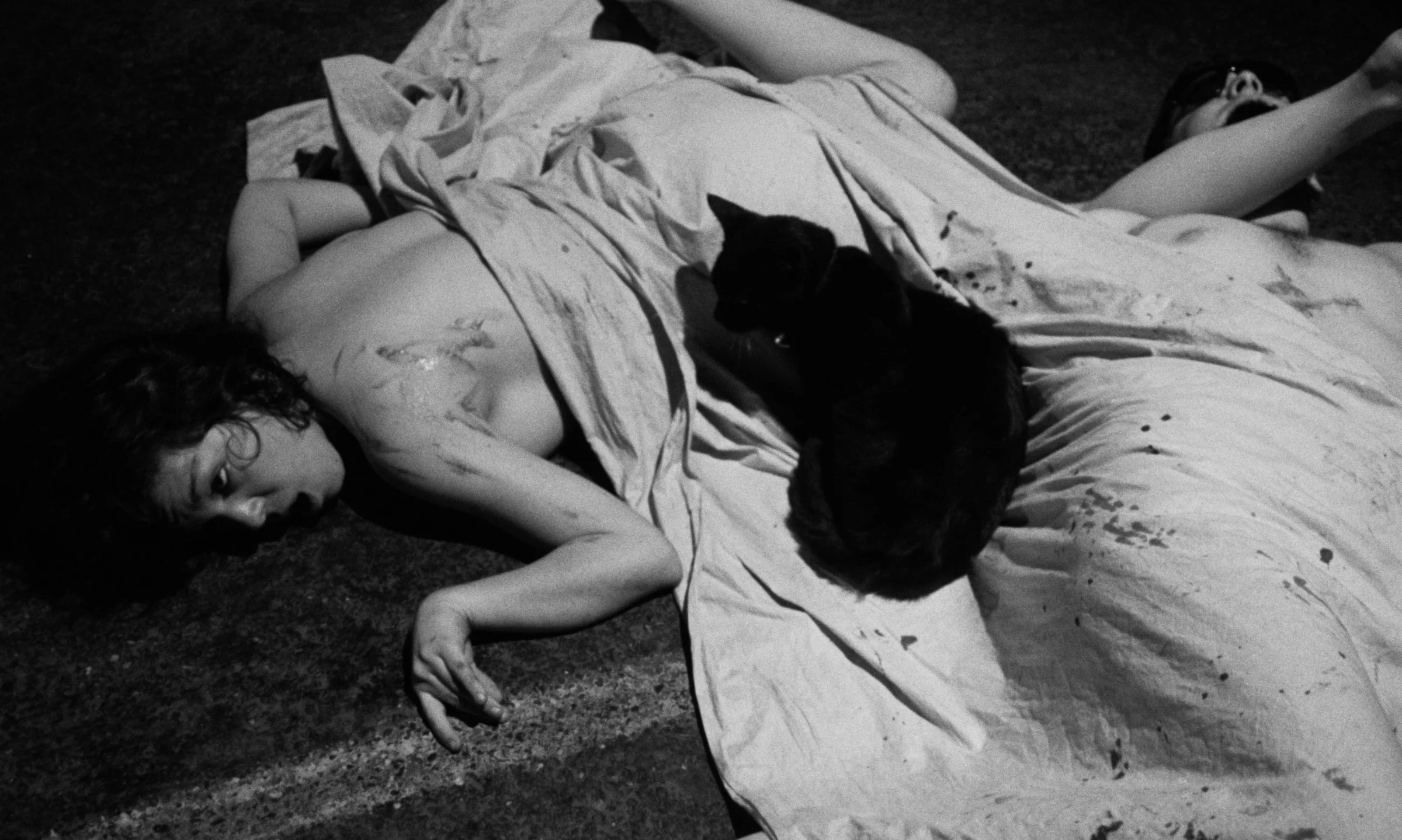 The Fat Black Pussycat still 3