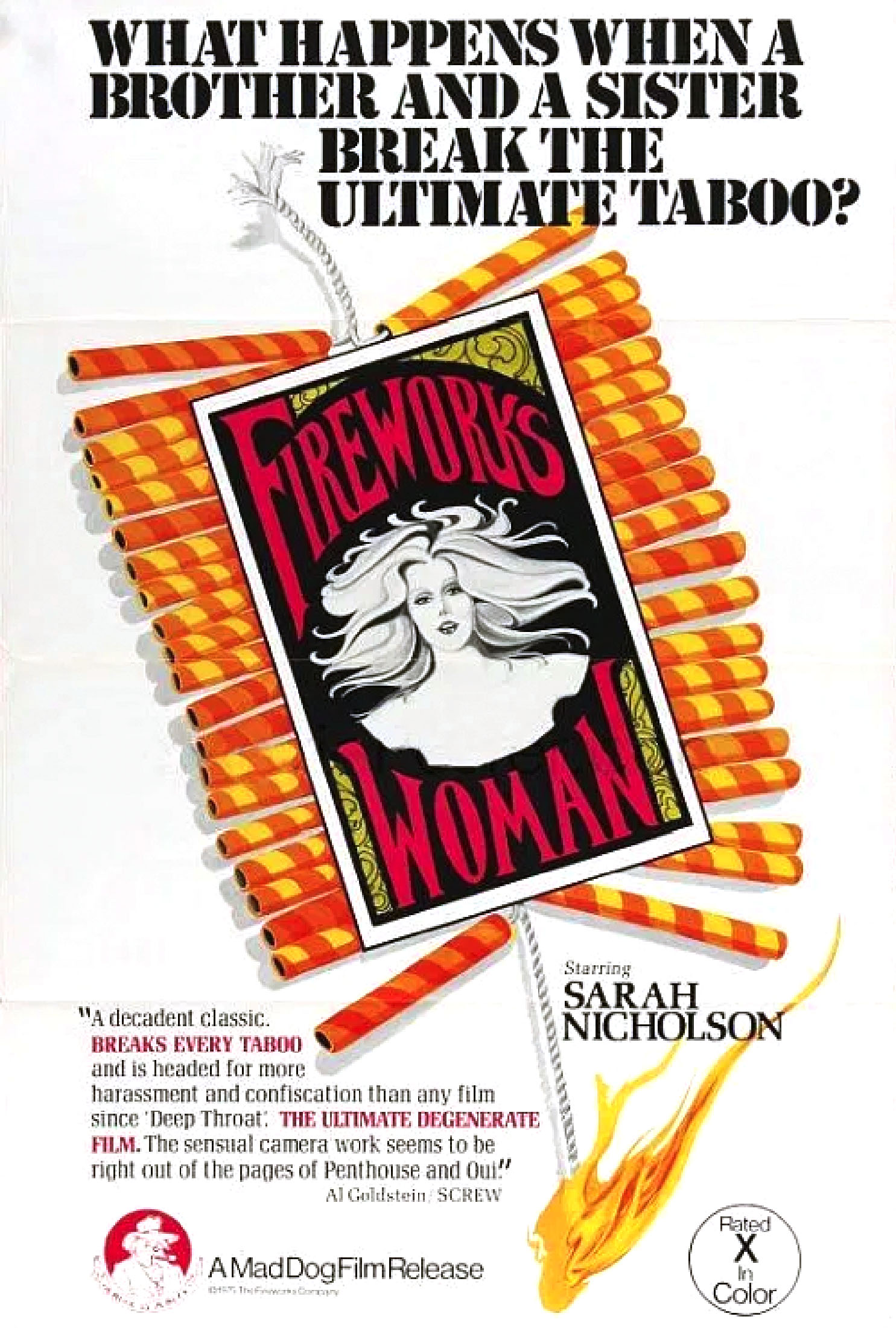 The Fireworks Woman poster