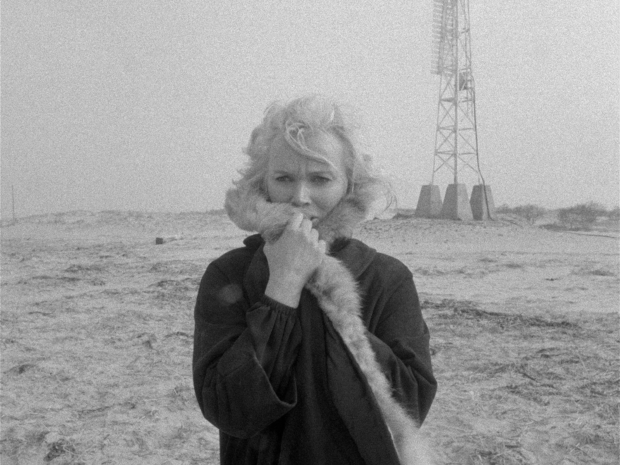 The Kiss of Her Flesh still 6