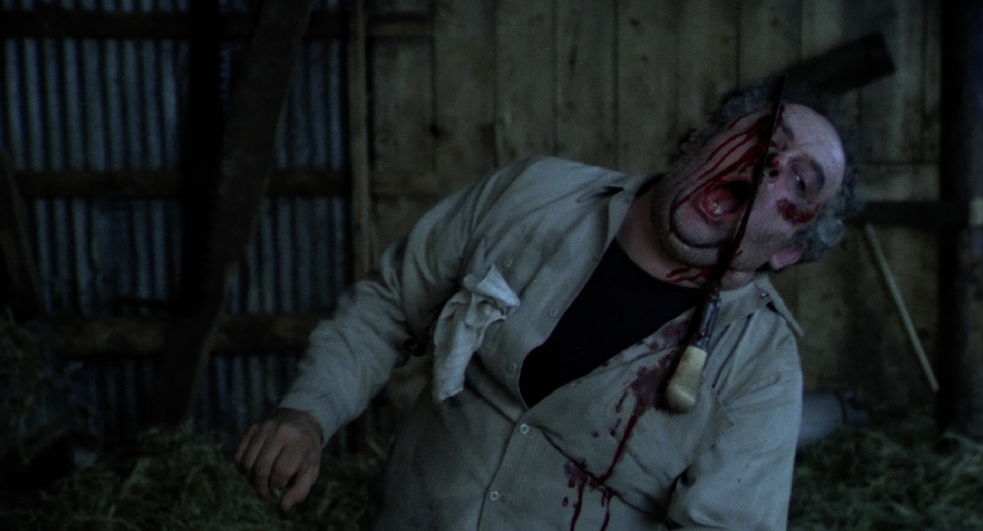 The Nesting still 4