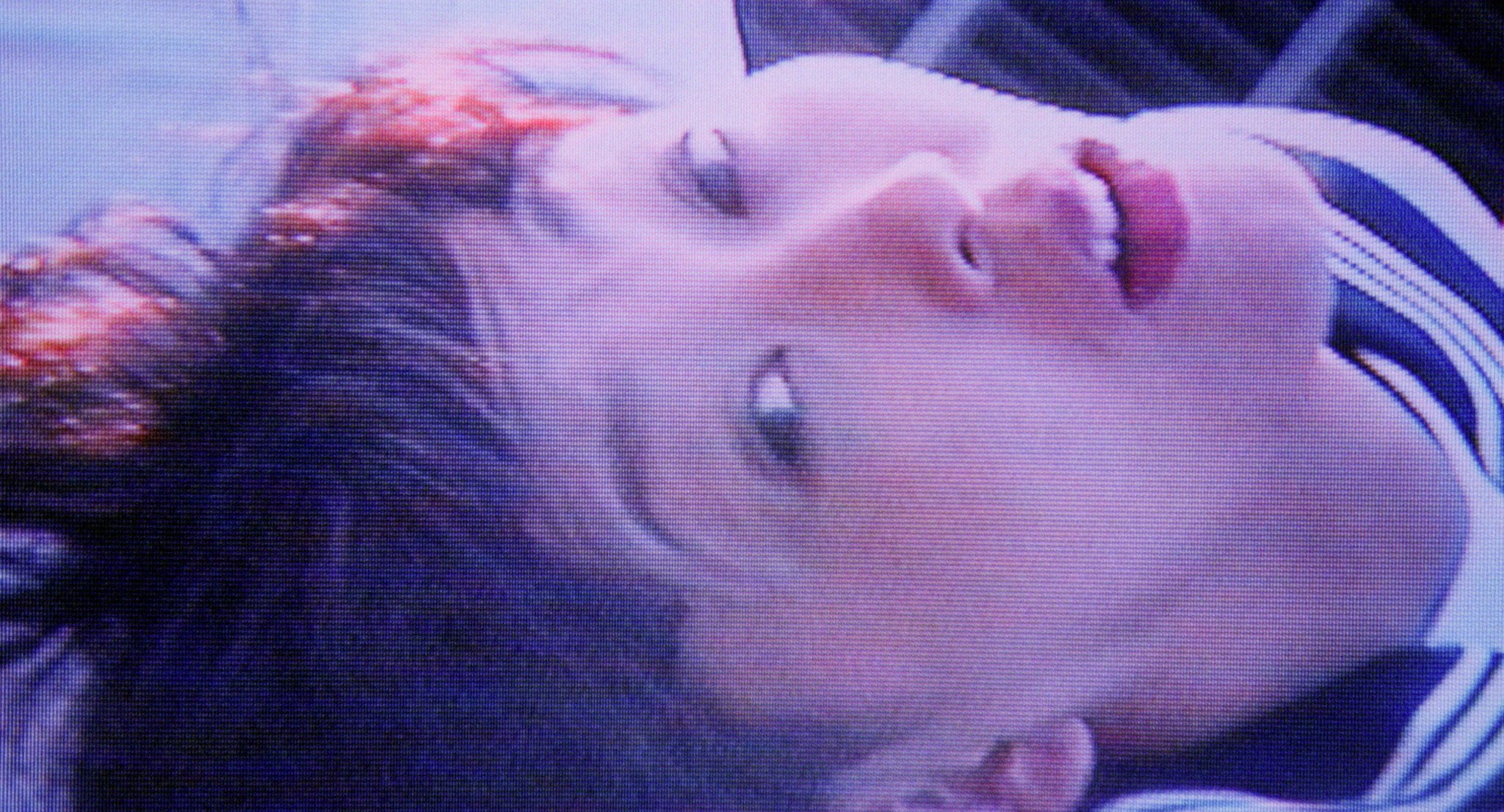 Turtle Vision still 3